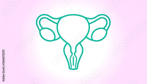 Simple teal outline female reproductive system diagram
