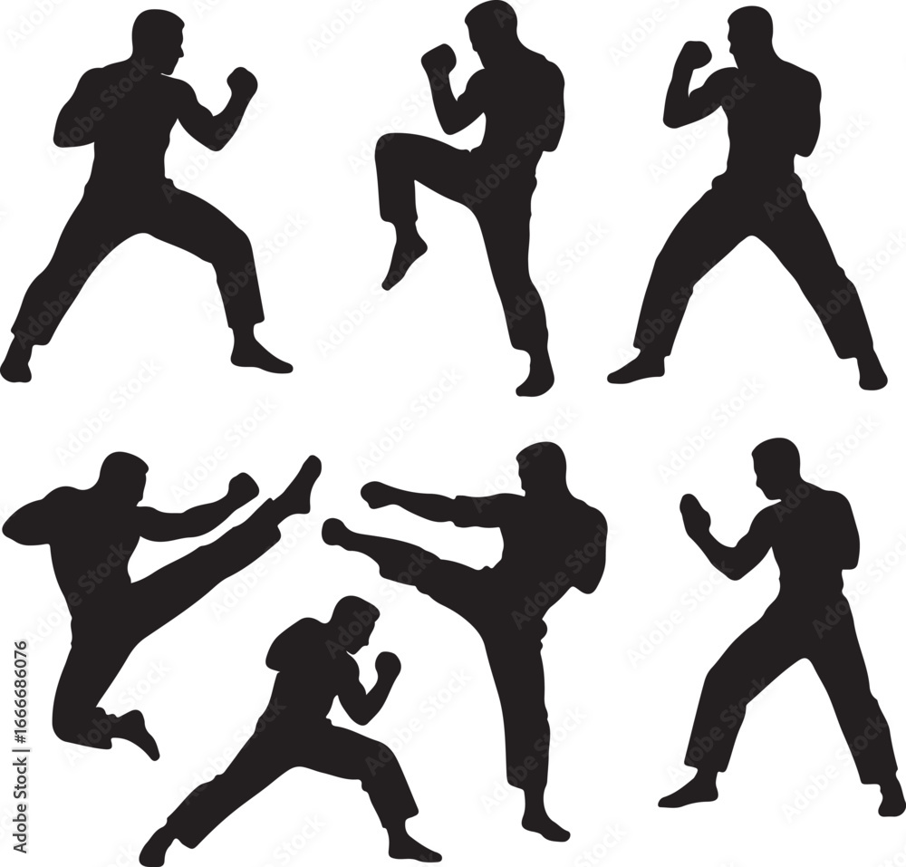 Fototapeta premium COMBAT MAN AND MARTIAL ARTS 