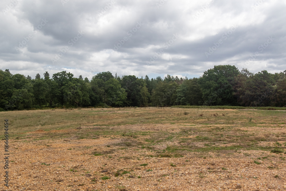 Obraz premium Yateley Common in Hampshire United Kingdom