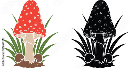 Fly agaric mushroom illustration vector graphic design template
