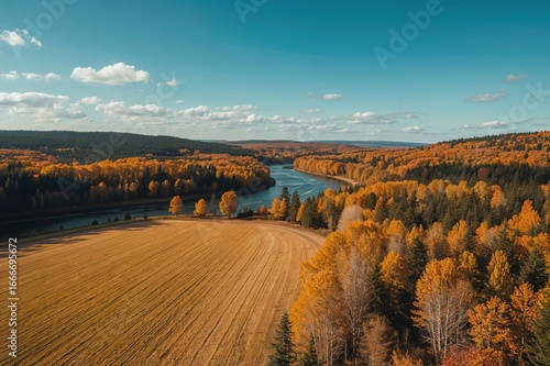 Bird's-eye view of a golden...