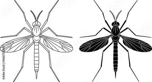 Mosquito drawing illustration vector image of insect outline art