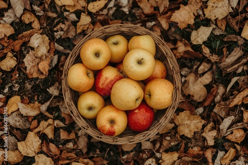 Top-down view of a basket b...