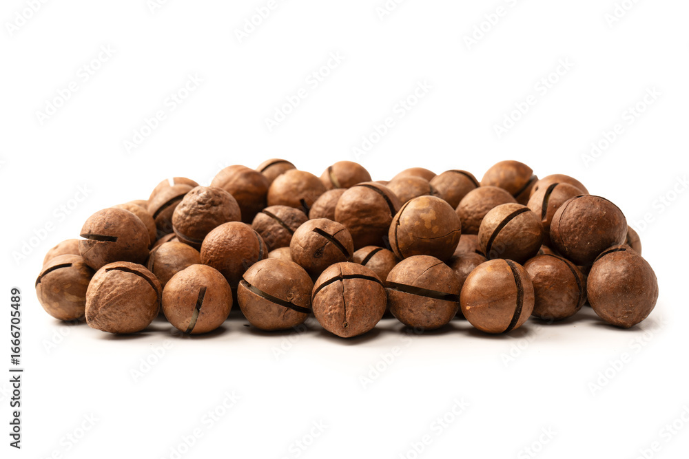 Fototapeta premium Macadamia nuts in a shell isolated on a white background.