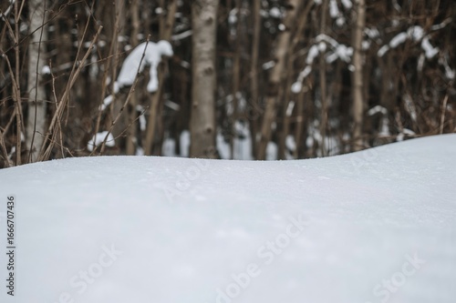 Heavy snow blanketing the g...