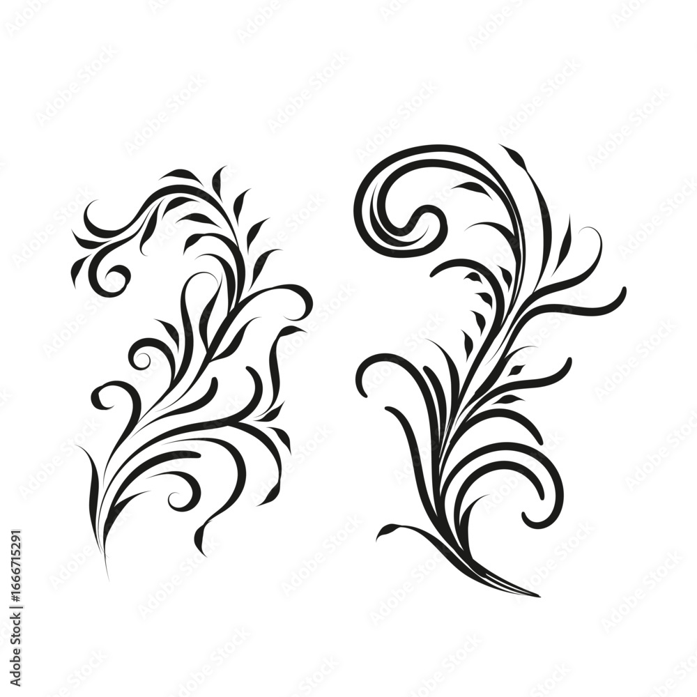 Obraz premium Decorative floral vector ornament on white background