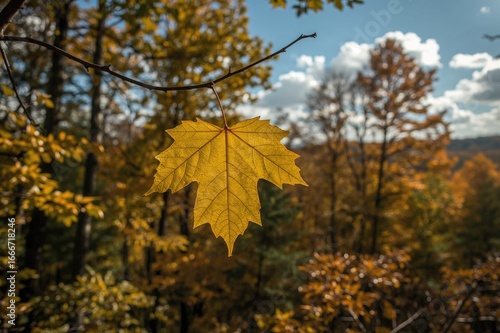 A vivid yellow leaf dangles from a tree limb set against a backdrop of fall foliage