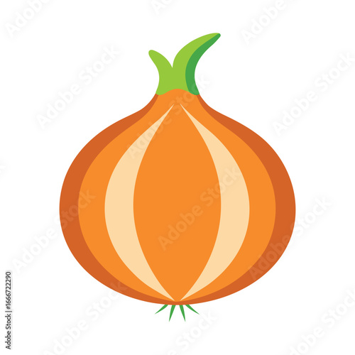 Onion on white background