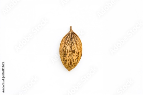 Single Pumpkin Seed Against...