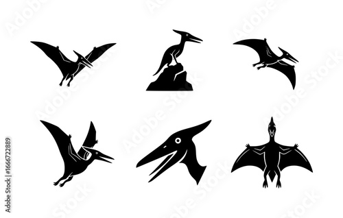 Silhouette illustrations of pterosaurs in various flying poses. Each silhouette is detailed, capturing the unique features of these ancient flying reptiles.