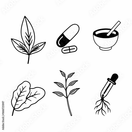 Collection of herbal medicine ingredients in hand drawn style