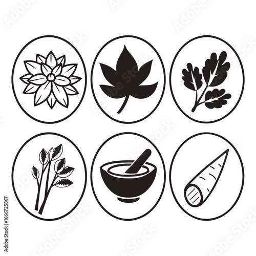 Collection of herbal medicine ingredients in circular design elements