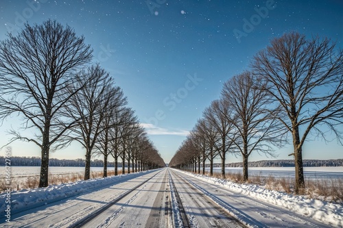 A tranquil snowy path lined...