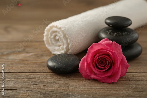 Organic spa essentials disp...