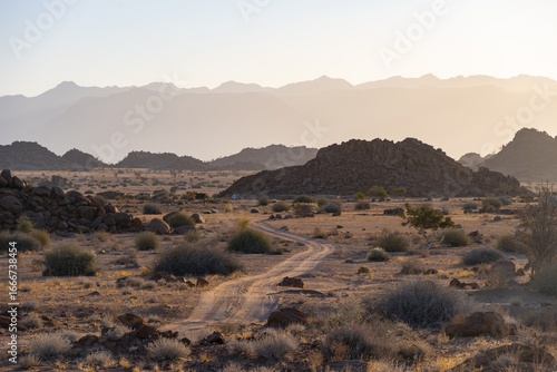 Sandy track, desert landscape in the evening light at sunset, backlit, Brandberg, Erongo, Damaraland, Namibia