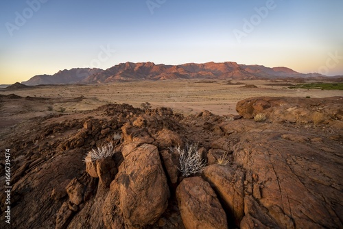 Desert landscape with Brandberg at sunrise, Erongo, Damaraland, Namibia