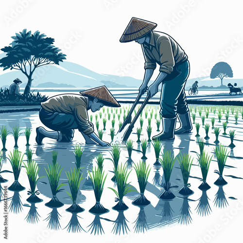 vector illustration of farmers planting rice