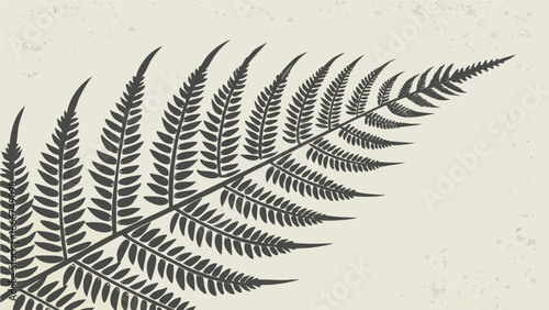 Detailed Fern Frond Silhouette on Textured Background
