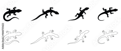 Lizard icon set. Lizard silhouette and stroke vector illustration sign symbol. Black reptile web graphic design. Flat style lizard vector symbol on white background.