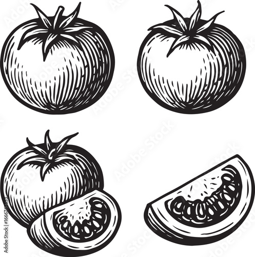 italian food hand-drawn