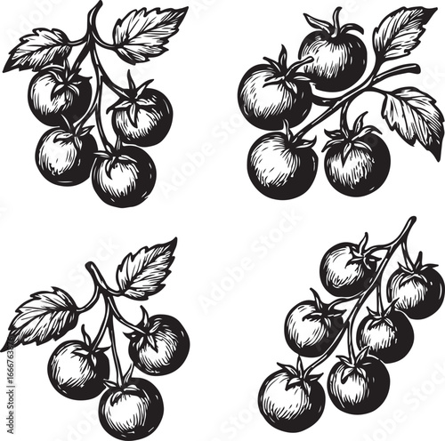 italian food hand-drawn