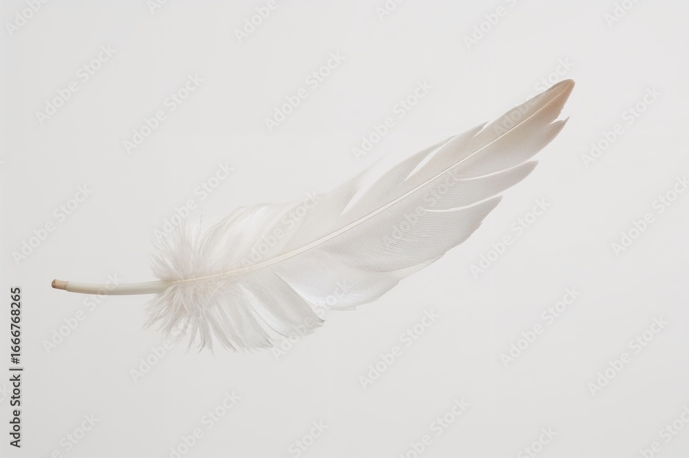 Obraz premium Delicate white plume drifting through the atmosphere