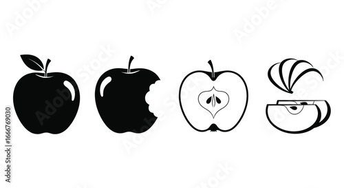 Four stages of apple consumption a whole bitten halved sliced and core isolated on white vector