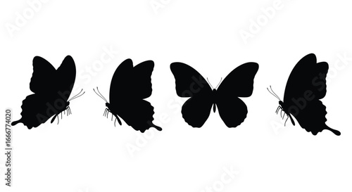 Four silhouetted butterflies in flight displaying diverse wing shapes and antennae details vector