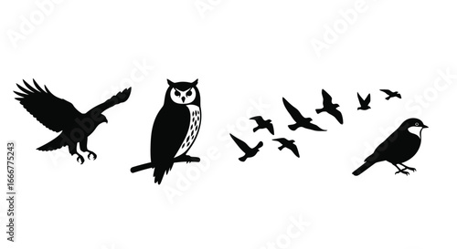 Silhouette collection of diverse birds in flight and perched featuring owl eagle sparrow flock vector