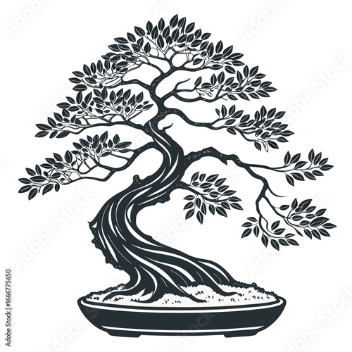 Stylized dark silhouette of a twisted bonsai tree in a pot