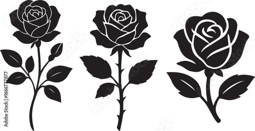 Elegant Black and White Rose Silhouettes for Design