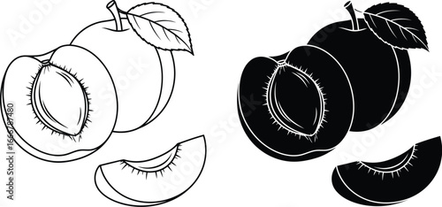Illustration of peaches in black and white outline and silhouette
