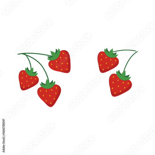Fresh red strawberries with green leaves on thin stems arranged in two groups on a white background