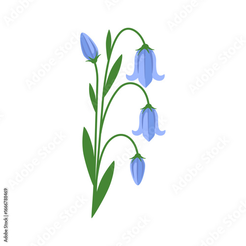 Delicate bluebell flowers with green stems and leaves depicted in a simple, stylized manner.