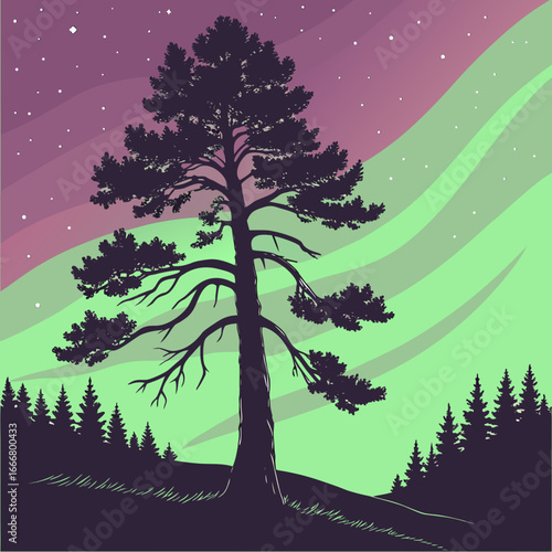 Lone pine tree silhouette against vibrant aurora borealis sky with starry night and forest background