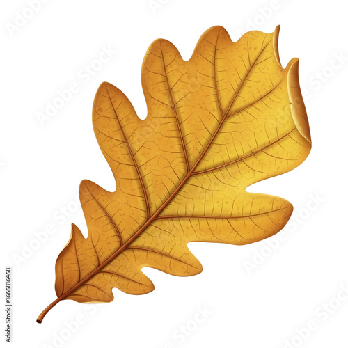 Wallpaper Mural Single Golden Yellow Oak Leaf with Brown Edges PNG Torontodigital.ca