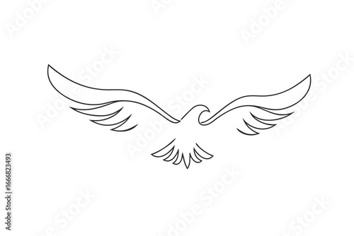 Minimalist Continous line drawing a soaring eagle with outstretched wings bird flying