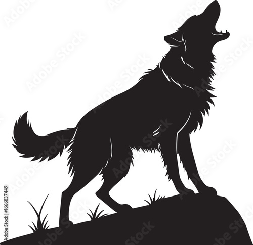 Silhouette of a wolf howling at the moon standing on a rocky outcrop with grass silhouette