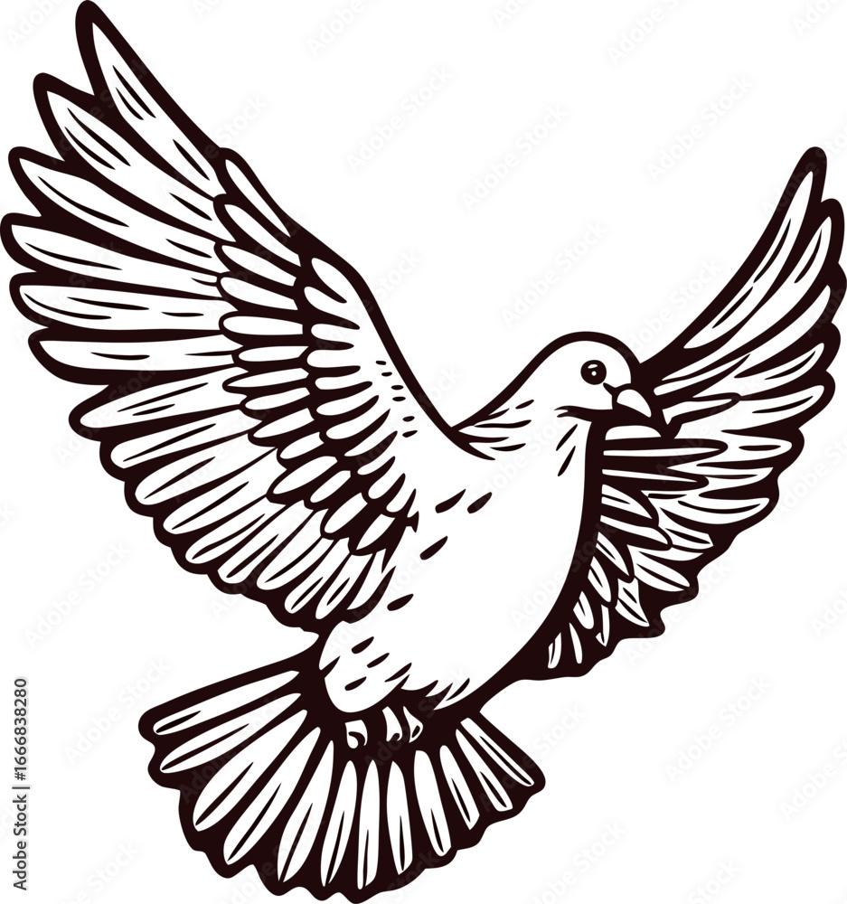 Obraz premium Detailed ink drawing of flying dove bird with outstretched wings on white background, vintage engraved illustration