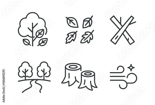 vector outline icons coppice (autumn colors): golden foliage fallen leaves trimmed branches earthy path bare stumps crisp air.