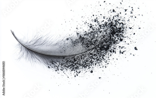 A Single Feather Turning to Ash Isolated On White Background.