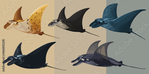 Set of five stylized manta ray illustrations with diverse color patterns and markings.