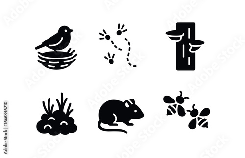 vector solid black filled icons dendrologist (wildlife context): bird nest insect tracks fungi on bark moss growth small mammals pollinating bees.