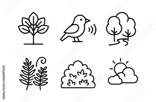 vector outline icons coppice (summer shade): leafy canopy bird calls shaded trail ferns dense growth filtered light.