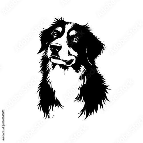 Detailed monochromatic portrait depicting a captivating dog with expressive eyes evokes feelings