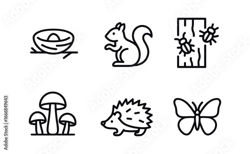 vector outline icons coppice (wildlife habitat): bird nest squirrel insects on bark mushroom patch hedgehog butterfly.