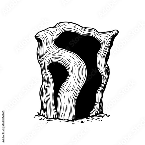 Isolated tree trunk void drawing displays nature's sculptural handiwork in the heart of natural wood