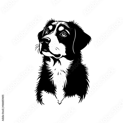 Monochromatic canine portrait with thoughtful gaze presents majestic elegance and endearing charm