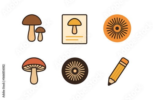 vector colorful flat filled icons mycologist (illustration): mushroom diagrams labeled drawings spore prints cross sections paper pencils.