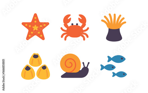 vector colorful flat filled icons tidepooling (wildlife): starfish crabs anemones barnacles snails tiny fish.